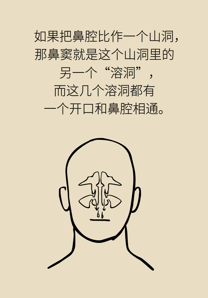 為什么鼻竇發(fā)炎，疼的卻是頭、眼和牙？
