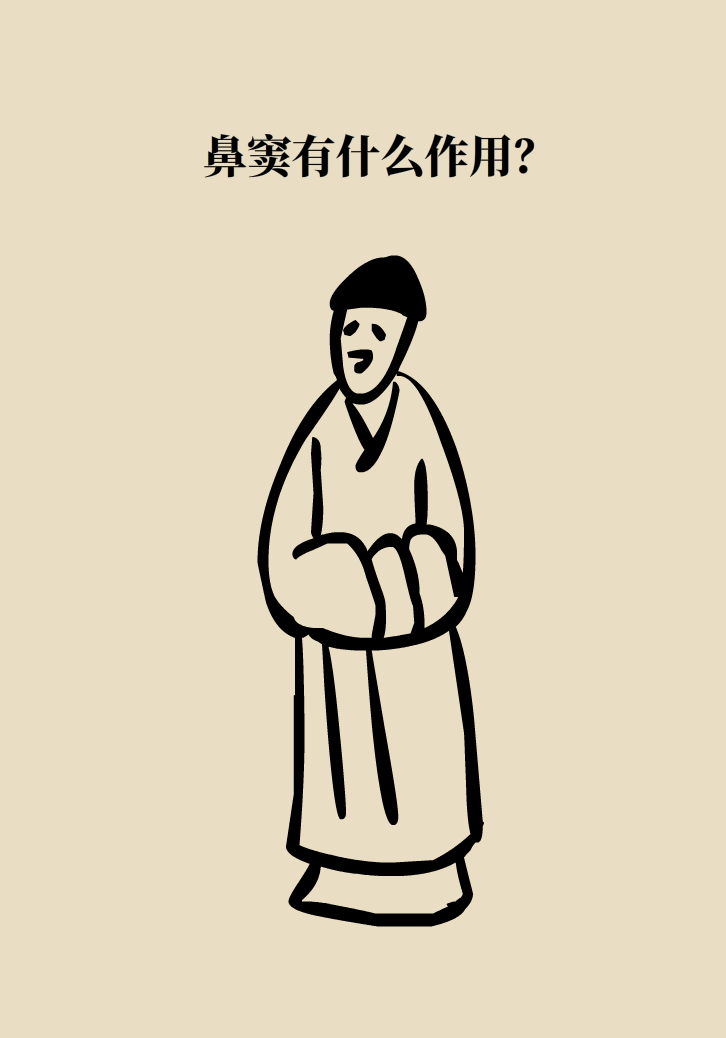 為什么鼻竇發(fā)炎，疼的卻是頭、眼和牙？