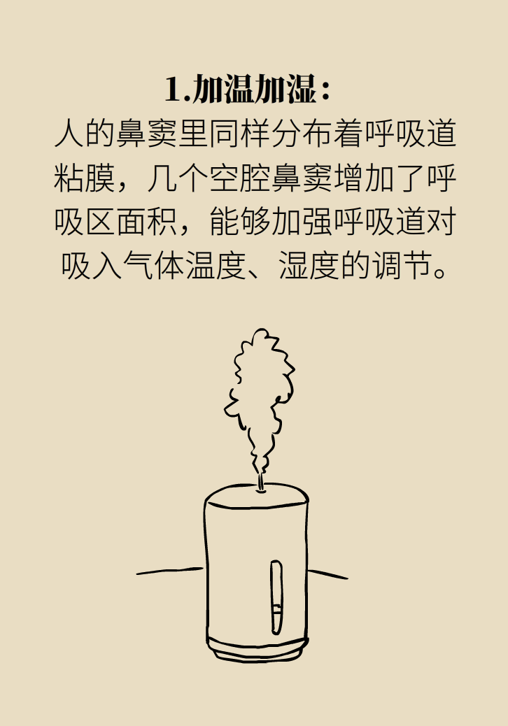 為什么鼻竇發(fā)炎，疼的卻是頭、眼和牙？