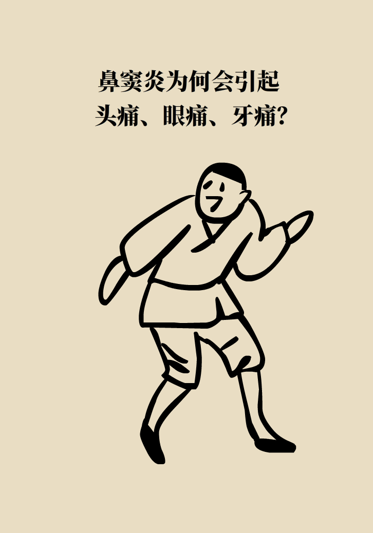 為什么鼻竇發(fā)炎，疼的卻是頭、眼和牙？