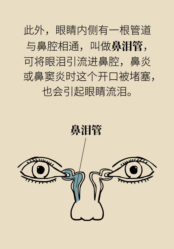 為什么鼻竇發(fā)炎，疼的卻是頭、眼和牙？