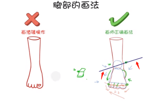 在腳腕的地方，畫出一些凸出來的踝關(guān)節(jié)，一定要記住里面的踝關(guān)節(jié)會(huì)比外面的踝關(guān)節(jié)要高，能形成一個(gè)傾斜的坡度。.png