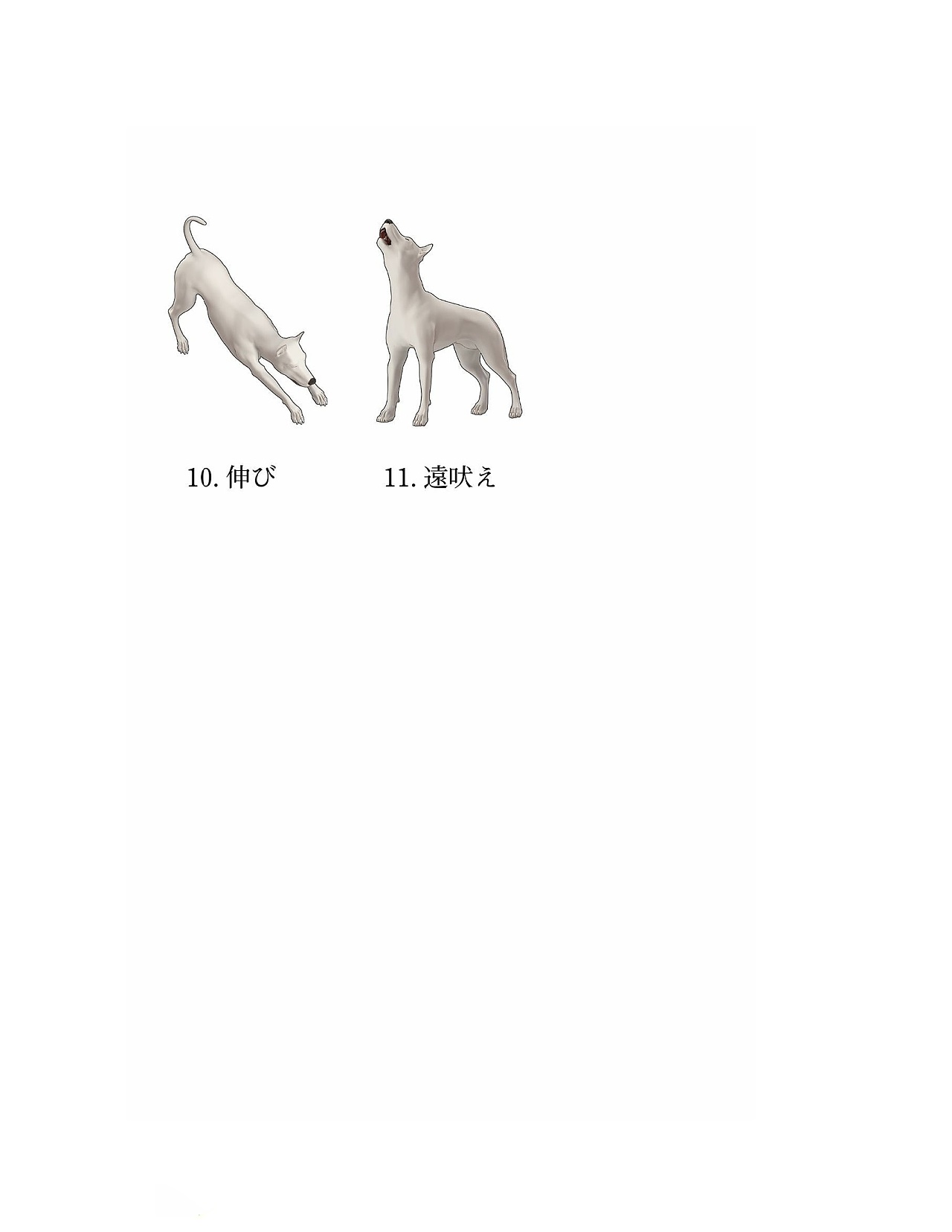 貓怎么畫，狗狗怎么畫？貓、犬の繪畫方法