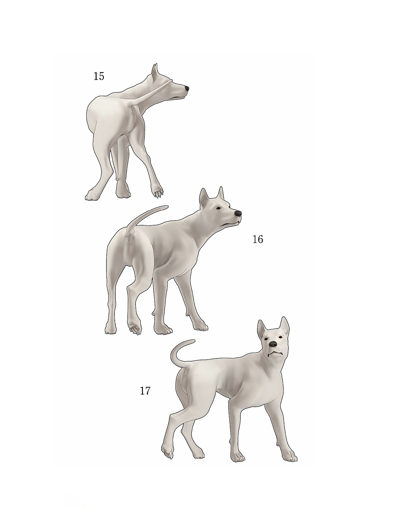 貓怎么畫，狗狗怎么畫？貓、犬の繪畫方法