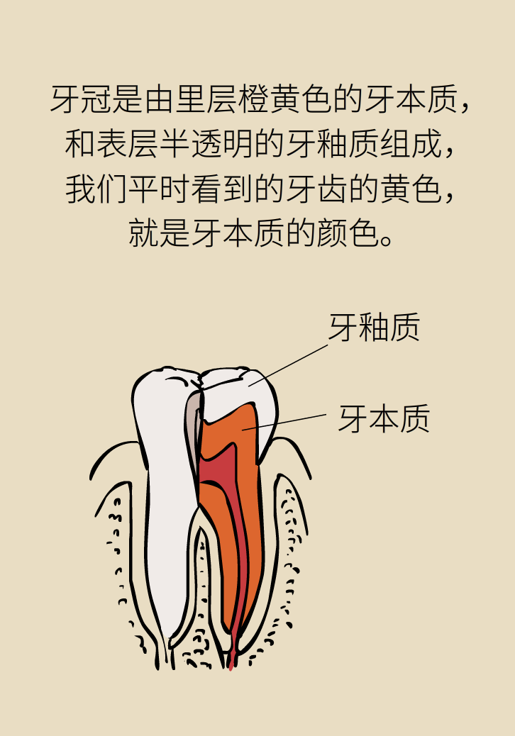 牙太黃，這些“美白”方法管用嗎？