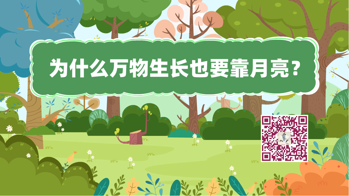 十萬個(gè)為什么標(biāo)題(月亮萬物)1200.png 十萬個(gè)為什么標(biāo)題(月亮萬物)1200.png