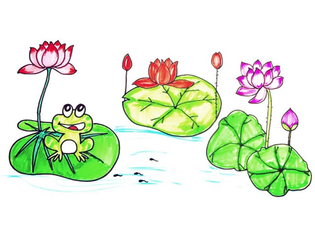 荷花怎么畫(huà)？