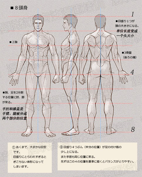 零基礎學繪畫教程！如何正確掌握繪畫人體結構？
