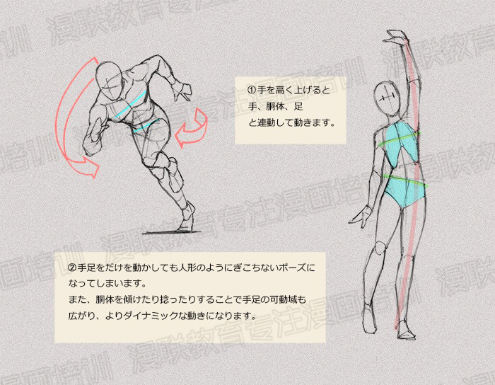 零基礎學繪畫教程！如何正確掌握繪畫人體結構？