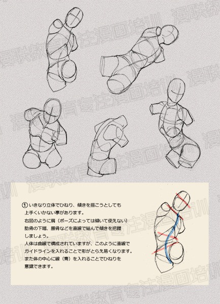 零基礎學繪畫教程！如何正確掌握繪畫人體結構？