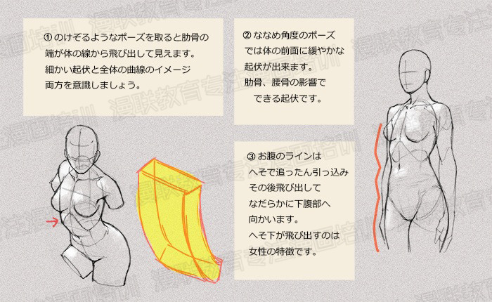 零基礎學繪畫教程！如何正確掌握繪畫人體結構？