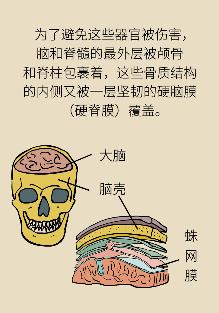 練瑜伽把腦脊液拉漏了！常見的“瑜伽病”你知道多少