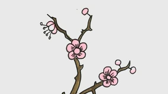 梅花怎么畫？