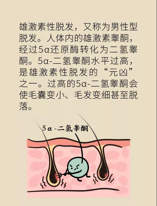 頭發(fā)一把一把地掉？搞明白根源才能對(duì)癥下藥