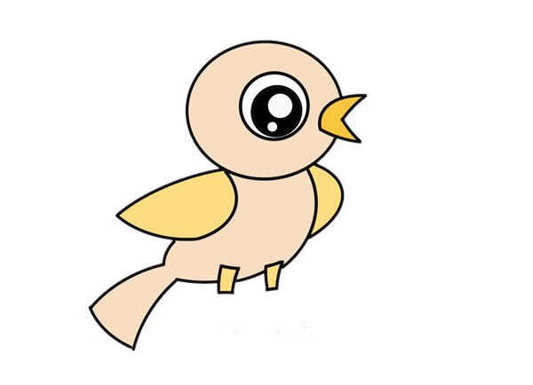 鳥怎么畫？