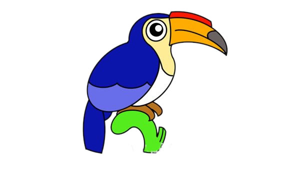 犀鳥怎么畫？