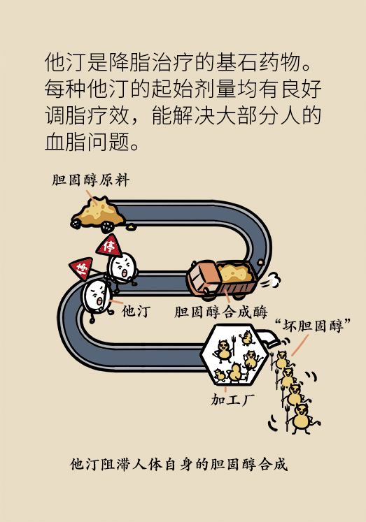 心梗動漫科普：血脂都正常就萬事大吉了嗎？