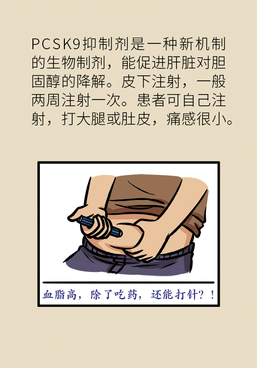 心梗動漫科普：血脂都正常就萬事大吉了嗎？