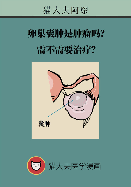 卵巢囊腫科普動漫：卵巢囊腫是腫瘤嗎？要學(xué)會這樣區(qū)分