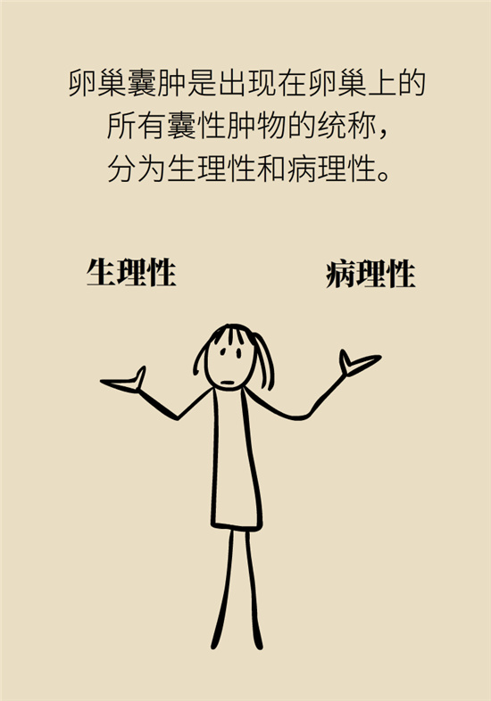 卵巢囊腫科普動漫：卵巢囊腫是腫瘤嗎？要學(xué)會這樣區(qū)分