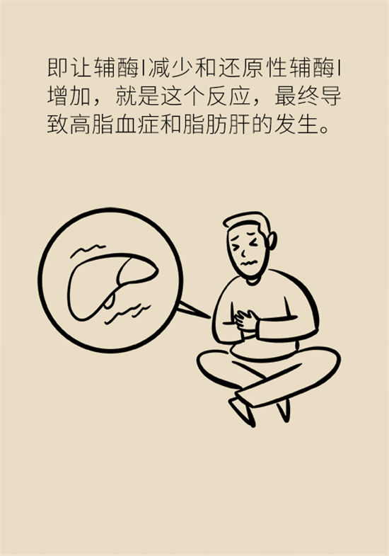 喝酒之后會傷肝？這個因素很重要