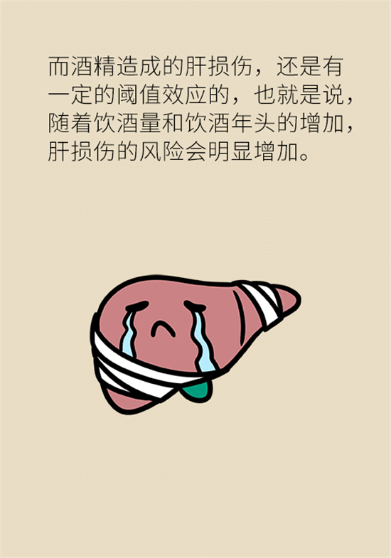 喝酒之后會傷肝？這個因素很重要