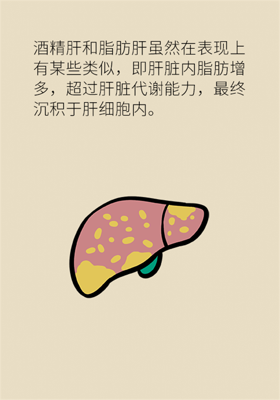 喝酒之后會傷肝？這個因素很重要