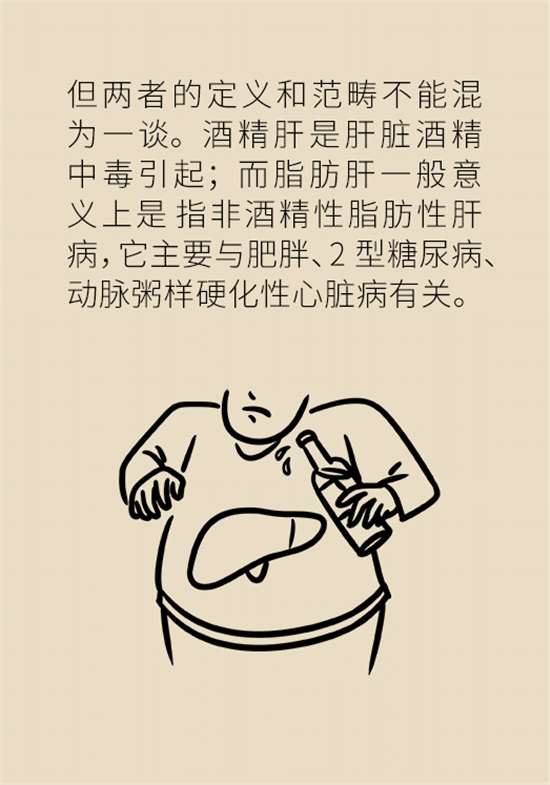 喝酒之后會傷肝？這個因素很重要
