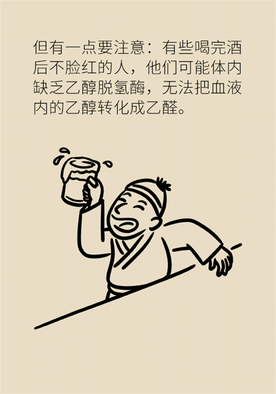 喝酒之后會傷肝？這個因素很重要