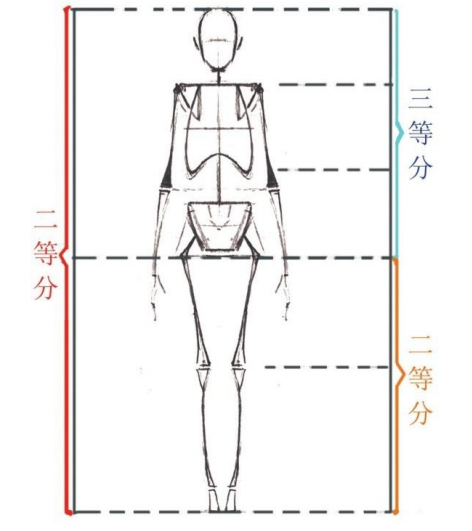 「動漫設(shè)計教程」人體繪畫基礎(chǔ) part 01 認(rèn)識骨骼(1) 「動漫設(shè)計教程」人體繪畫基礎(chǔ) part 01 認(rèn)識骨骼(1)