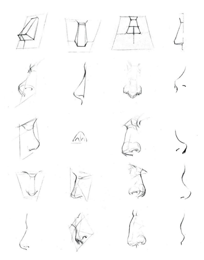 「動漫設(shè)計」人體繪畫基礎(chǔ) part 02 認(rèn)識肌肉(1) 「動漫設(shè)計」人體繪畫基礎(chǔ) part 02 認(rèn)識肌肉(1)