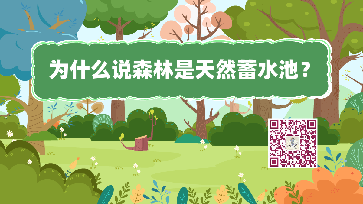 十萬個為什么標(biāo)題(森林蓄水池)1200.png 十萬個為什么標(biāo)題(森林蓄水池)1200.png
