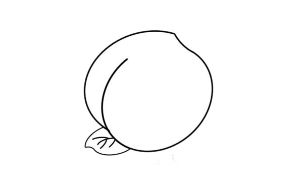 彩色水蜜桃簡(jiǎn)筆畫(huà)畫(huà)法圖片