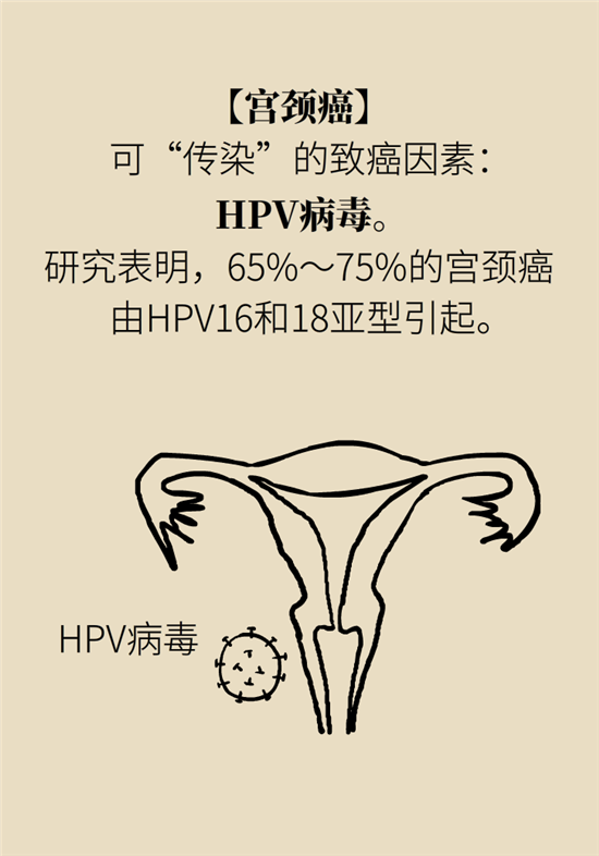 癌癥會傳染嗎？專家：這些高危因素得注意