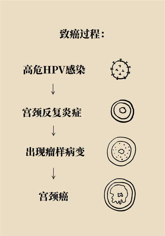 癌癥會傳染嗎？專家：這些高危因素得注意