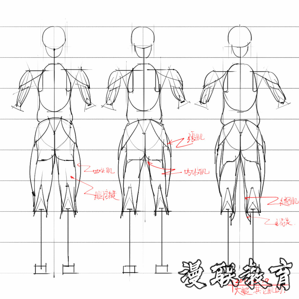 「動(dòng)漫設(shè)計(jì)素材」分享一波繪畫專用人體解剖素材 part 08 「動(dòng)漫設(shè)計(jì)素材」分享一波繪畫專用人體解剖素材 part 08
