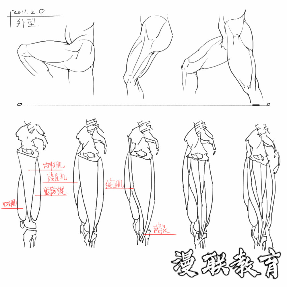 「動(dòng)漫設(shè)計(jì)素材」分享一波繪畫專用人體解剖素材 part 08 「動(dòng)漫設(shè)計(jì)素材」分享一波繪畫專用人體解剖素材 part 08