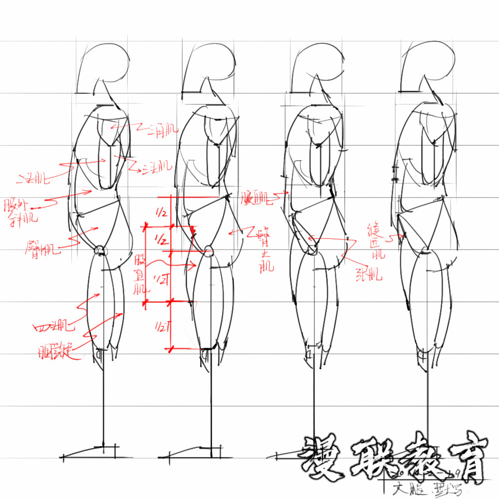 「動(dòng)漫設(shè)計(jì)素材」分享一波繪畫專用人體解剖素材 part 08 「動(dòng)漫設(shè)計(jì)素材」分享一波繪畫專用人體解剖素材 part 08