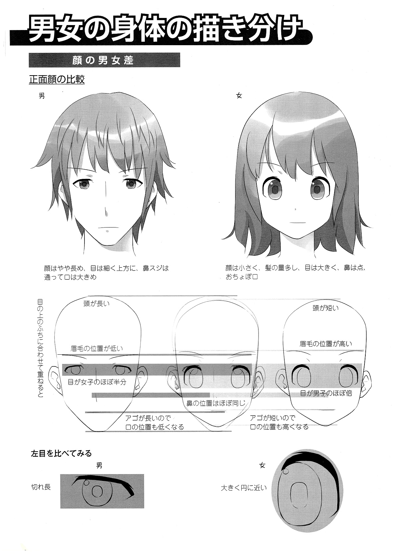 動漫角色設計：描繪男女の差別