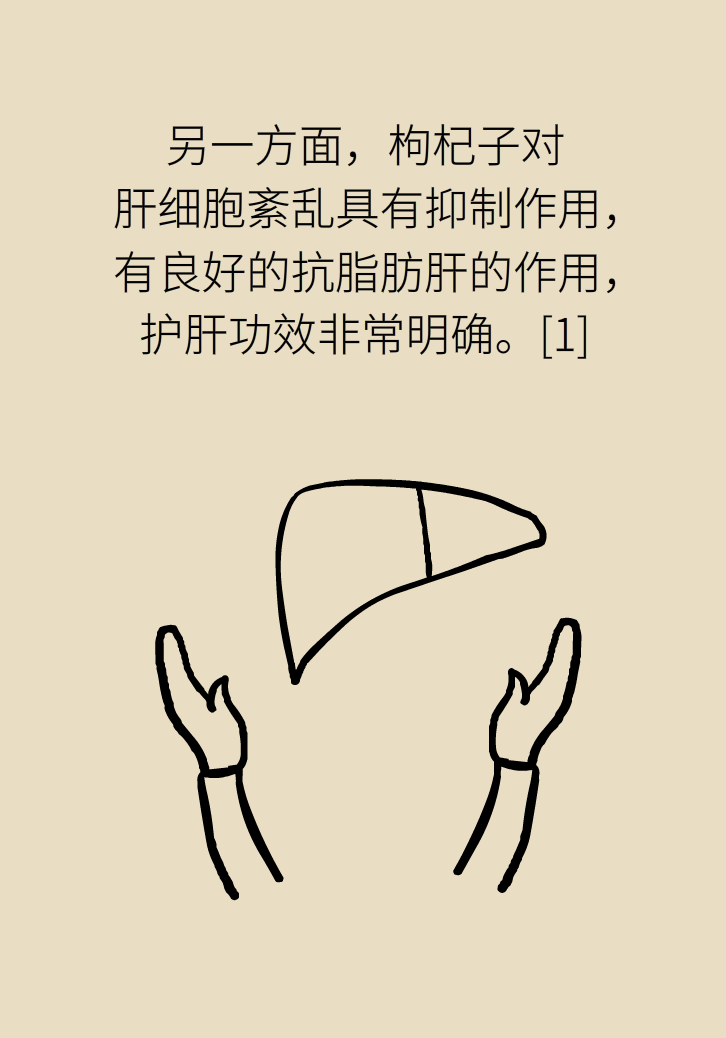 成天喝著枸杞茶，它真的適合你嗎？