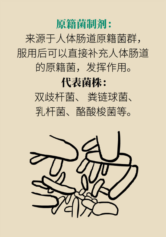 益生菌真能提高免疫力嗎？專家提醒注意這8點