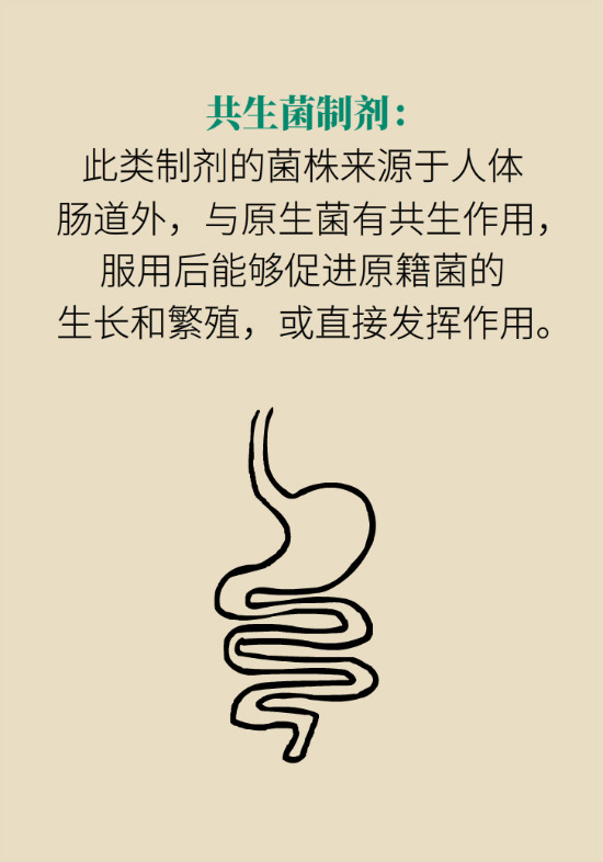 益生菌真能提高免疫力嗎？專家提醒注意這8點