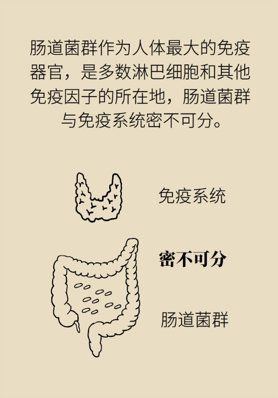 益生菌真能提高免疫力嗎？專家提醒注意這8點