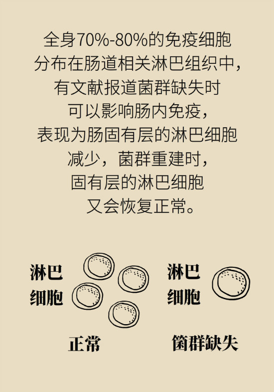 益生菌真能提高免疫力嗎？專家提醒注意這8點