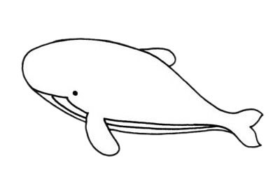 鯨魚(yú)簡(jiǎn)筆畫圖片