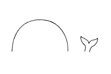 鯨魚(yú)簡(jiǎn)筆畫圖片