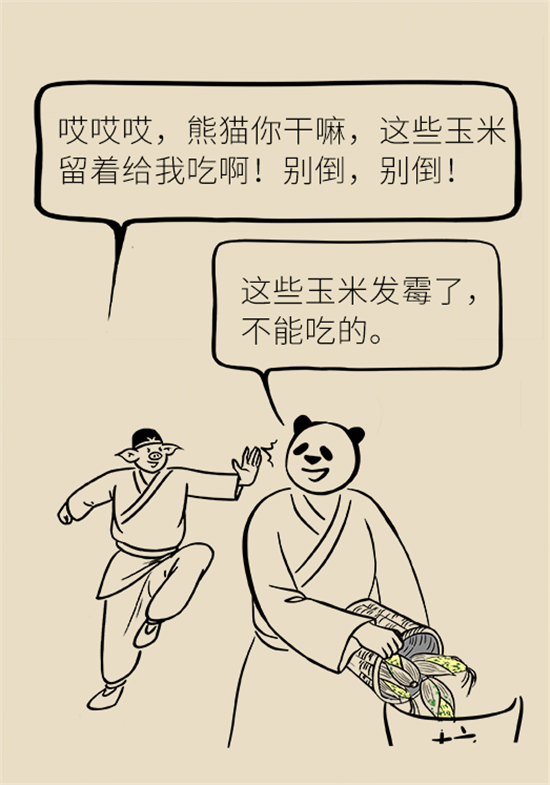 大米食油里也有致癌毒素，專家教你如何避開它