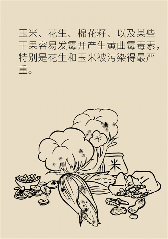 大米食油里也有致癌毒素，專家教你如何避開它