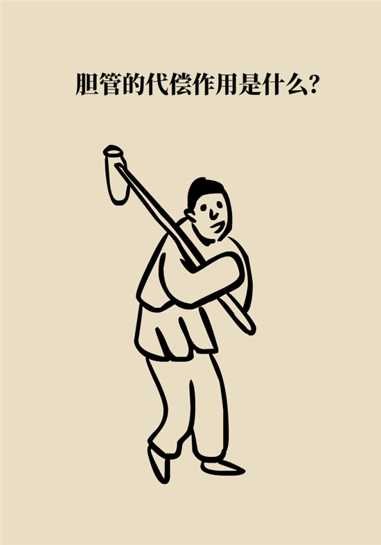 膽結(jié)石主要成分竟是膽固醇？預(yù)防它只需四個(gè)字