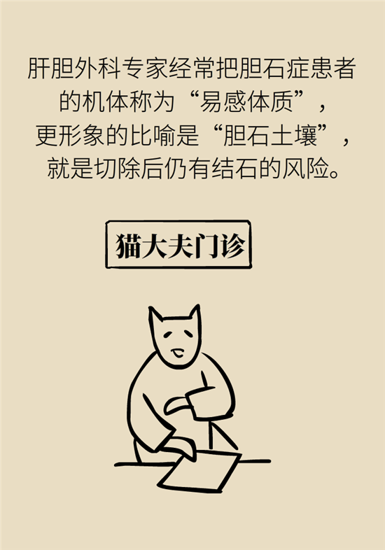 膽結(jié)石主要成分竟是膽固醇？預(yù)防它只需四個(gè)字